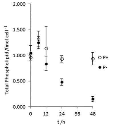 Preliminary data showing the reduction in phospholipid quantities per cell (T. pseudonana, CCMP1335, in culture) over 48 hours following induced phosphate restriction. (Error bars = 1 S.D.; n = 3) 