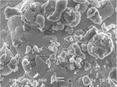 SEM of the surface of a Ni-Al composite coating