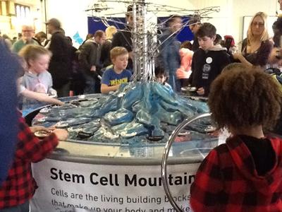 Stem Cell Mountain 