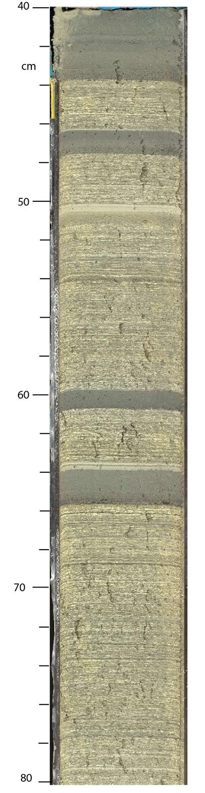 Core from one of the expedition boreholes, showing sediments deposited during the glaciated periods in the last 800,000 years.
