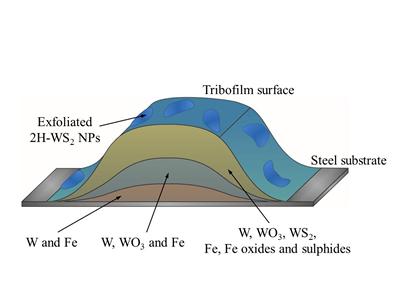 Layered structure of the WS2 tribofilm