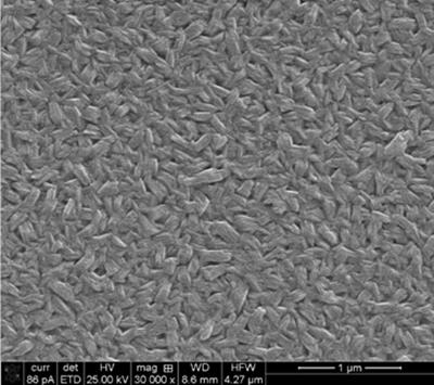 Surface SEM image of Bi2Te3 deposited at 200C