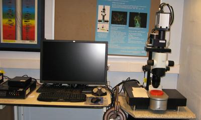 LaVision Ultramicroscope II Light Sheet System