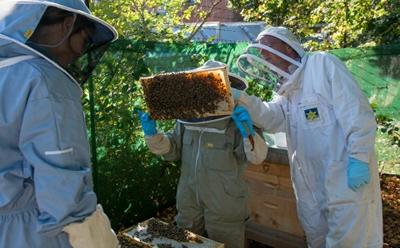 Beekeeping Facilities