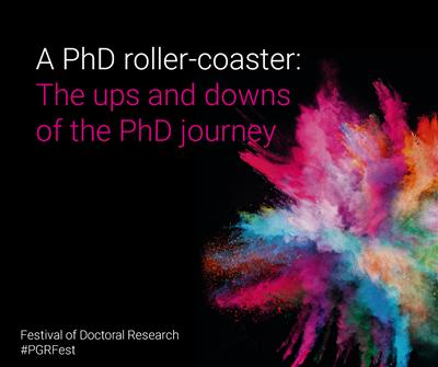 A PhD Roller Coaster