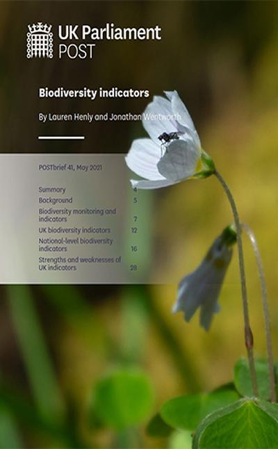 Biodiversity Indicators Research