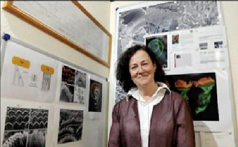 Professor Christine Petit