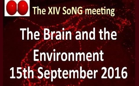 SoNG Conference