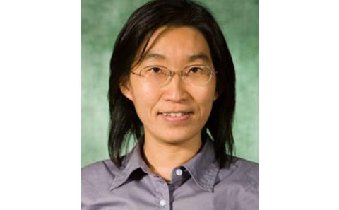Professor Pei Fang Tsai