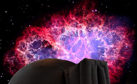 Pink Back Dome