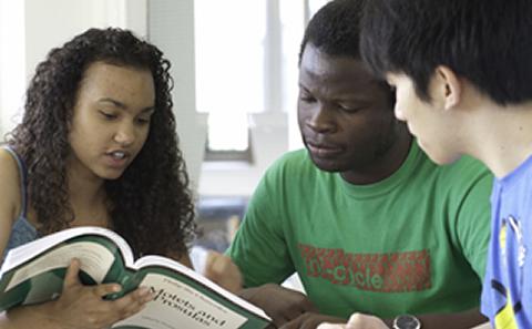 Students studying together