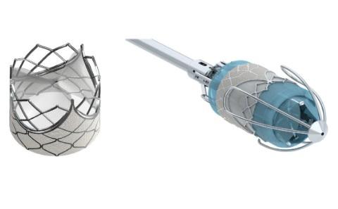 Heart Valves