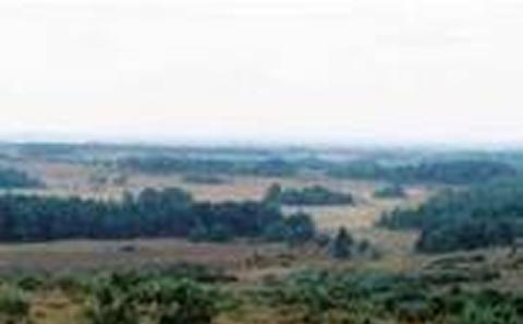 Fields