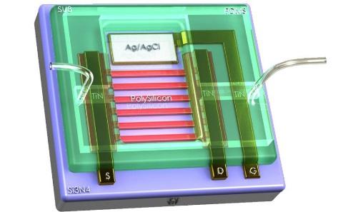 Schematic of a biosensor