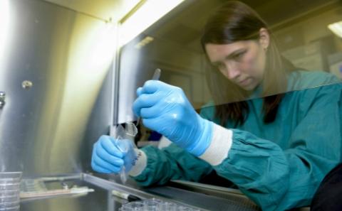 Drug discovery at Southampton