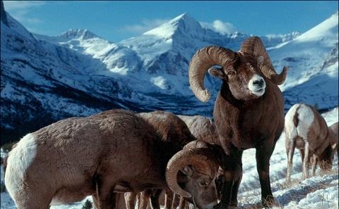 Author Kim Keating, USGS photo