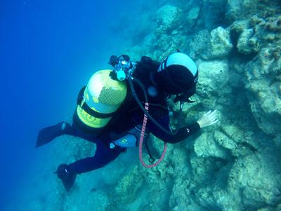 Diver inspects Roman marble quarry