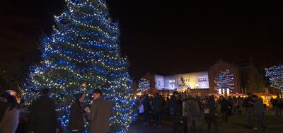 Christmas tree on campus