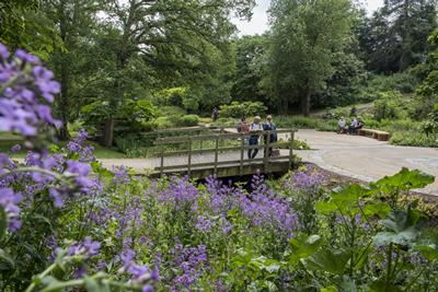 Image of valley gardens