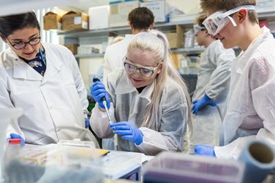 Laboratory open day