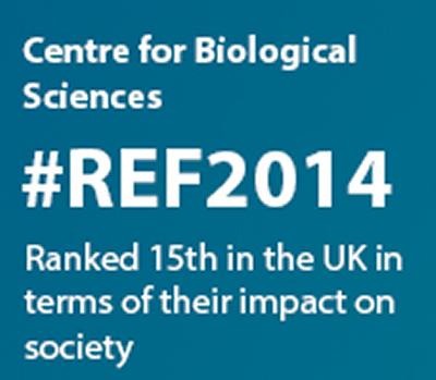 #REF2014
