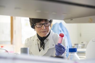 Professor Freda Stevenson