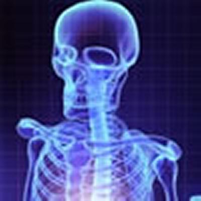 Image of skeleton