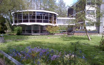 wsa