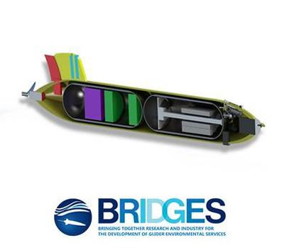 One of the project's gliders