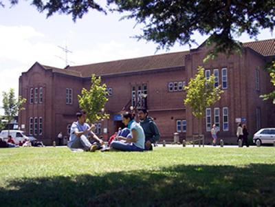Students relax on grass on campus