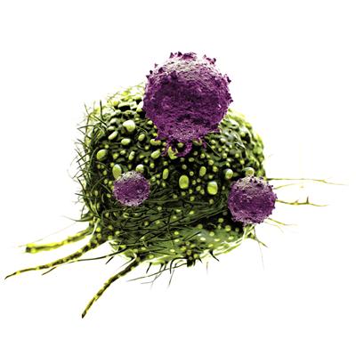 New cancer study