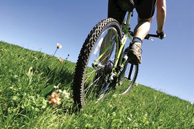 Bike in grass