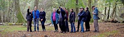 New Forest Walking Festival