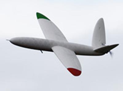 Unmanned plane