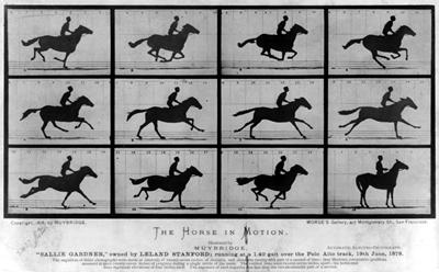 Journeys in Film