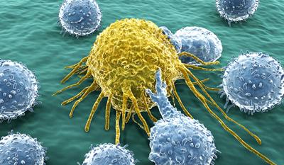 T Cells Attack