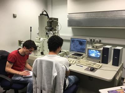 Interns using SEM