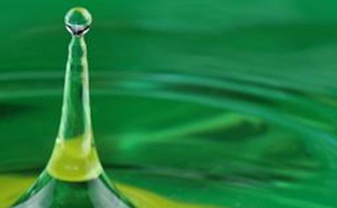 Wellbeing green splash logo