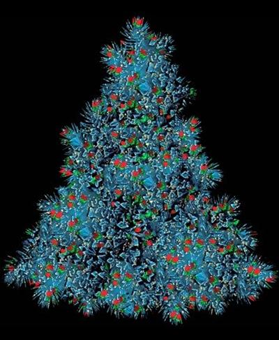 The (Christmas) Tree of Life