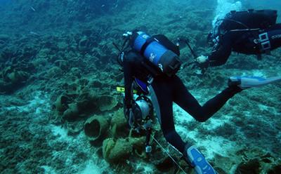 Diver at Roman wreck site