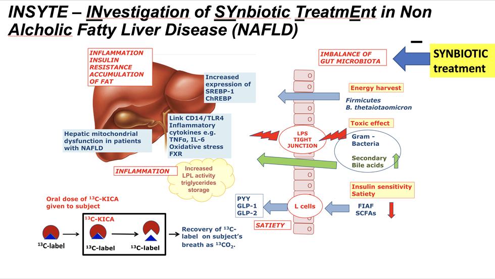 INSYTE – INvestigation of SYnbiotic TreatmEnt in Non Alcholic Fatty Liver Disease (NAFLD)