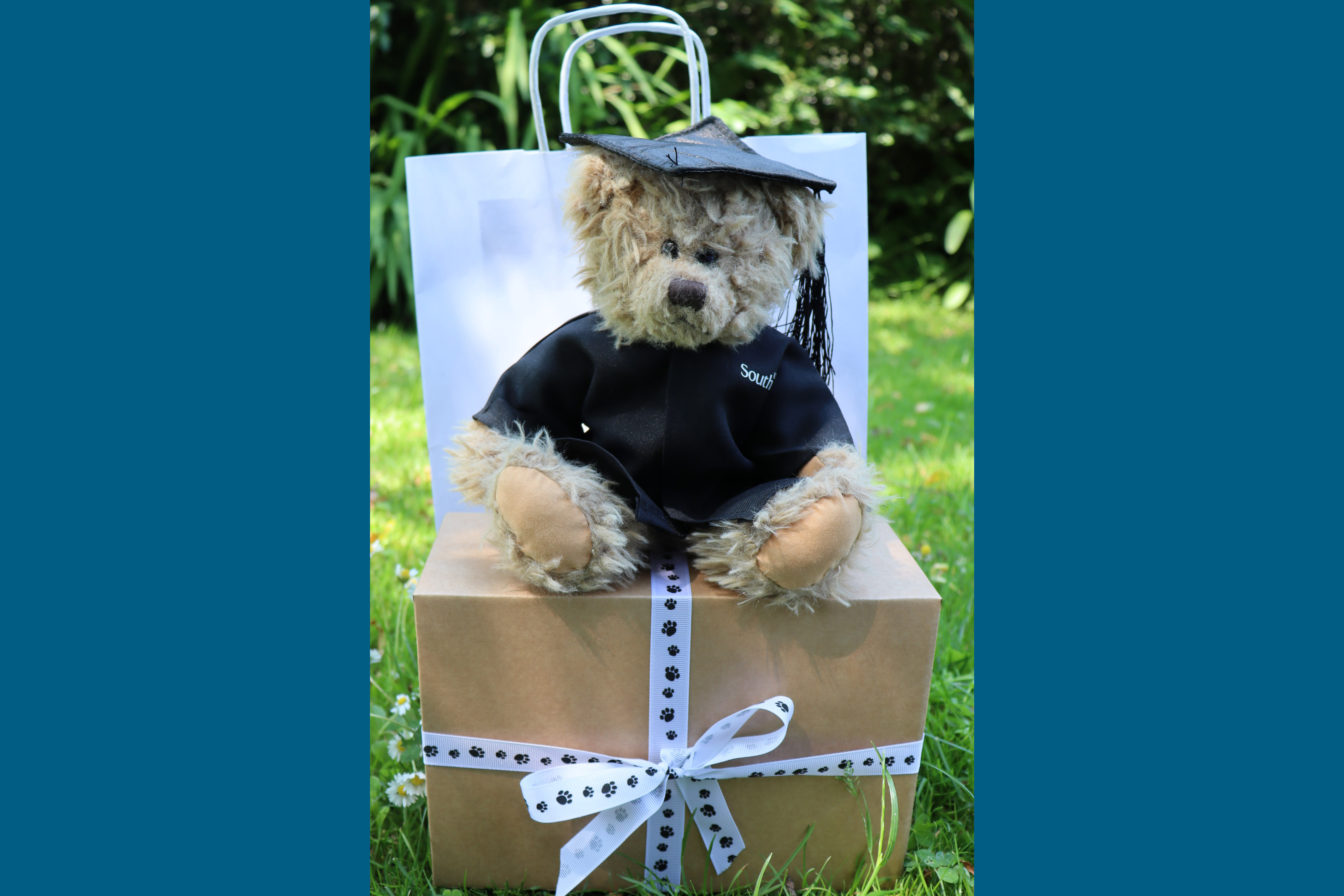 Hartley bear gift box