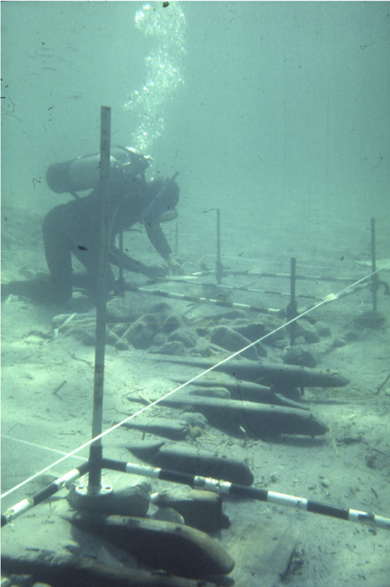 Scuba diver pictured at underwater archaeology site