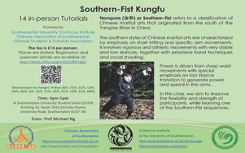 Southern-Fist Kungfu flyer