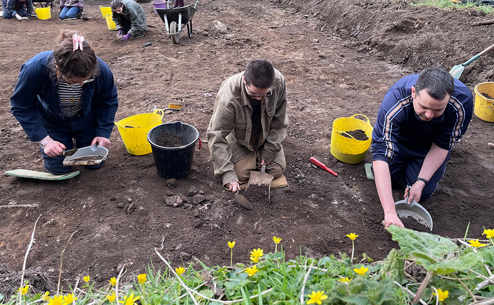 Archaeologists digging in soil with hand tools.