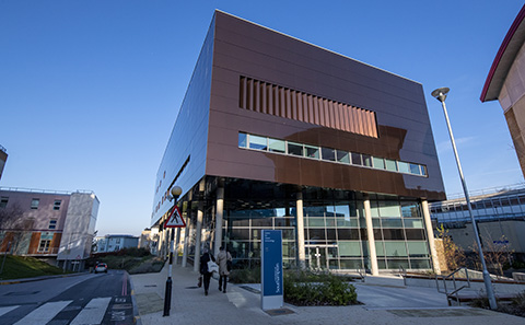 Exterior of building with glass and copper colouring