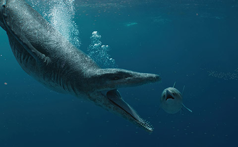 Computer animation of a pliosaur