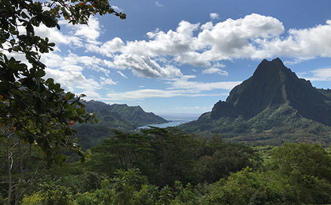 Tropical view of sea and mountains
