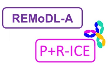 PRICE logo