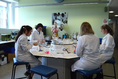 Several female teachers in a CLEAPPS laboratory session sit around a table